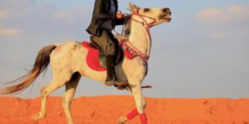 رياضة ركوب الخيل ورعايتها .. موروث شعبي يستهوي أهالي طريف