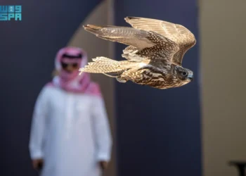 انطلاق منافسات كأس نادي الصقور في حفر الباطن بستة أشواط