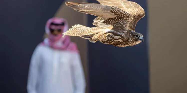 انطلاق منافسات كأس نادي الصقور في حفر الباطن بستة أشواط