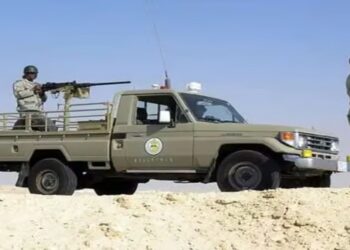 حرس حدود عسير يتصدى لتهريب 240 كجم قات في عسير