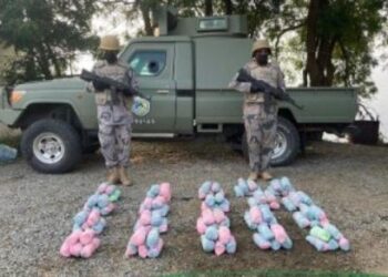 حرس الحدود بجازان يحبط تهريب (900) كيلو جرام من نبات القات المخدر