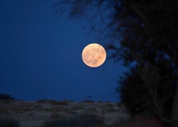 "فلكية جدة" ترصد القمر في التربيع الأول .. اليوم