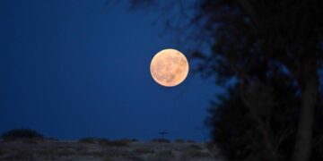 "فلكية جدة" ترصد القمر في التربيع الأول .. اليوم