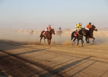 أمير منطقة الجوف يرعى انطلاقة سباقات موسم فروسية الجوف لعام 1446 هـ غدًا