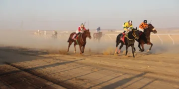 أمير منطقة الجوف يرعى انطلاقة سباقات موسم فروسية الجوف لعام 1446 هـ غدًا