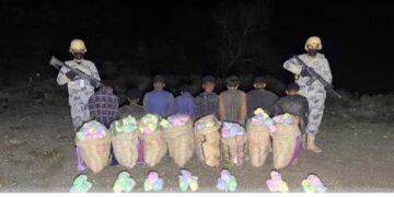 حرس الحدود بمنطقة عسير يحبط تهريب (176) كيلو جرامًا من نبات القات المخدر