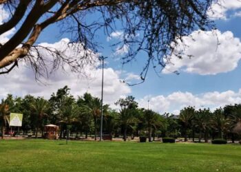 أمانة نجران تنهي تنفيذ 4 حدائق جديدة في عدد من أحياء المدينة