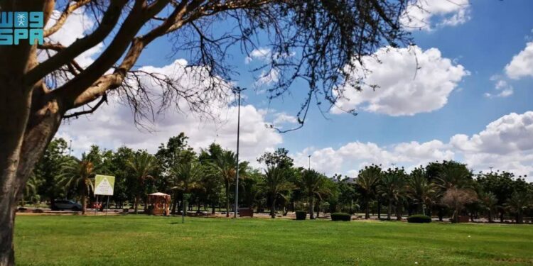 أمانة نجران تنهي تنفيذ 4 حدائق جديدة في عدد من أحياء المدينة