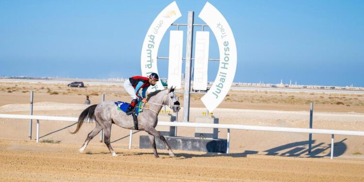 انطلاق أولى سباقات ميدان فروسية الجبيل للموسم الحالي ١٤٤٦هـ