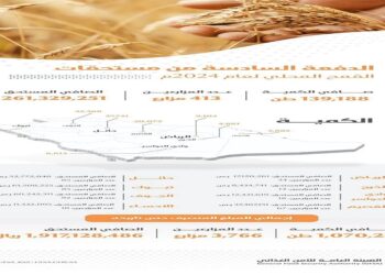 "الأمن الغذائي": صرف (261) مليون ريال مستحقات الدفعة السادسة لمزارعي القمح المحلي