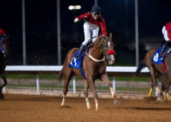 نادي سباقات الخيل ينظّم الأسبوع السابع من موسم سباقات الرياض
