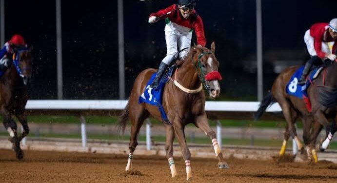 نادي سباقات الخيل ينظّم الأسبوع السابع من موسم سباقات الرياض