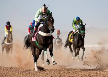 برعاية أمير منطقة الجوف.. انطلاق موسم سباقات ميدان الفروسية