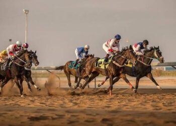 “البيذخ” بطل الحفل الثاني لسباقات موسم الفروسية بالجوف