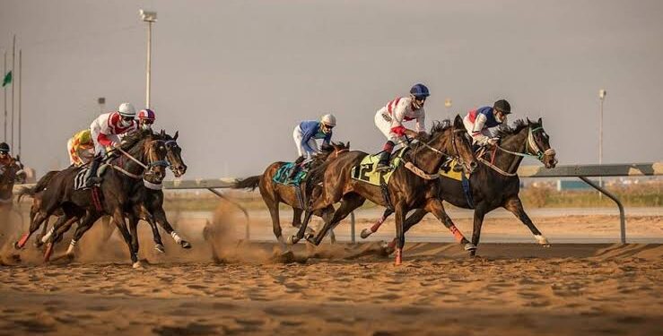 “البيذخ” بطل الحفل الثاني لسباقات موسم الفروسية بالجوف