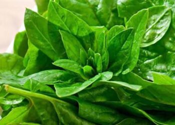 6 خضراوات غنية بالألياف تخفض مستويات السكر بالدم.. تعرف عليها