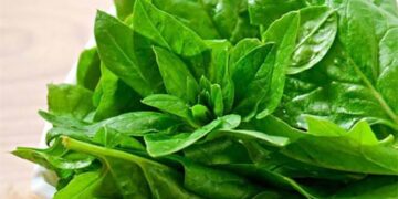 6 خضراوات غنية بالألياف تخفض مستويات السكر بالدم.. تعرف عليها