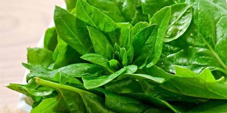 6 خضراوات غنية بالألياف تخفض مستويات السكر بالدم.. تعرف عليها