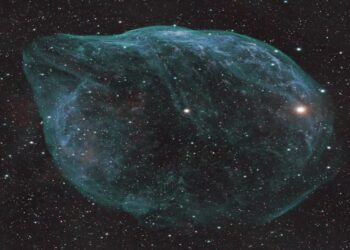 الفلكي "عودة" يلتقط صورة لسديم "رأس الدولفين" بعد رصد 13 ساعة تصوير