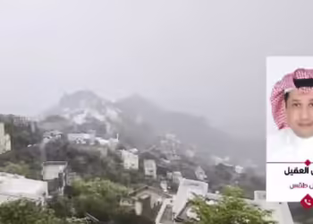 "العقيل": حالة مطرية على بعض مناطق المملكة بدءًا من الأربعاء