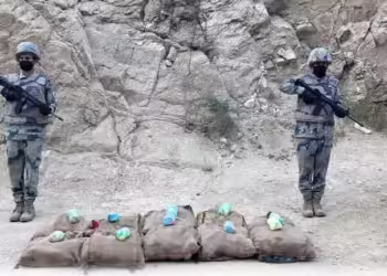 حرس الحدود بجازان يحبط تهريب 150 كجم قات في العارضة