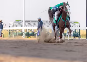 "سبق" في اختتام البطولة الثانية لالتقاط الأوتاد بالقصيم.. عروض استثنائية تربط الأجيال بتراث الفروسية