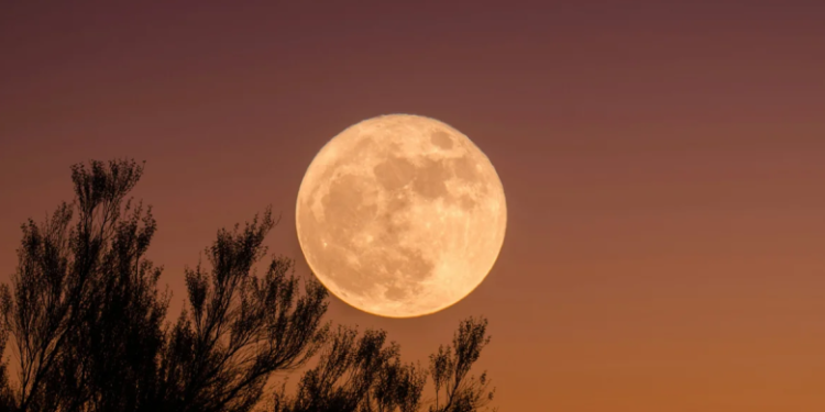 بنسبة لمعان 100%.. آخر قمر عملاق في 2024 يظهر الجمعة القادمة