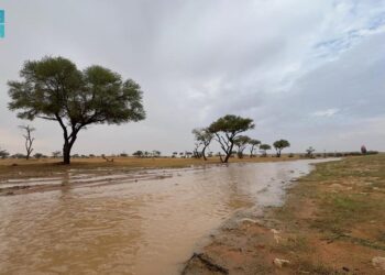 رفحاء.. أجواء مثالية للتنزه بعد تساقط الأمطار