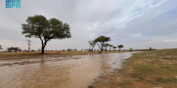 رفحاء.. أجواء مثالية للتنزه بعد تساقط الأمطار