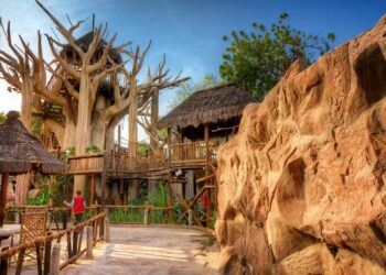 "غابة العجائب" بجدة .. تجربة تدمج الاسترخاء مع بيئة الحيوانات