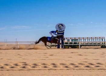 "الرهبان" يتوج بكأس سادس سباقات ميدان الفروسية بالجوف