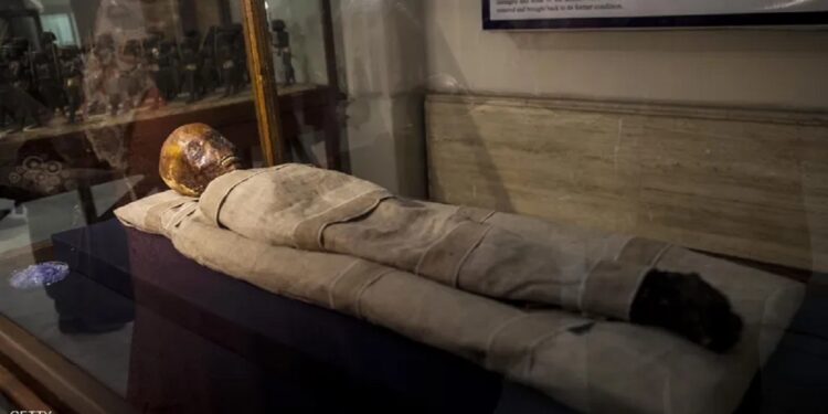 إيدي.. كاهنة مصرية تكشف أسرارًا أثرية في أسيوط