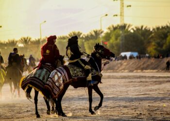 بـدء فعاليات المهرجان الدولي للصحراء بدوز التونسية
