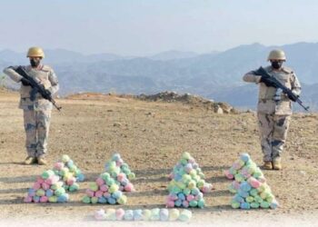 حرس الحدود بعسير يحبط تهريب 270 كيلوجرامًا من نبات القات المخدر