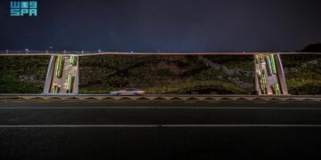 جدارية تحتوي على أكثر من 70 ألف شتلة .. توصل هوية الباحة الزراعية