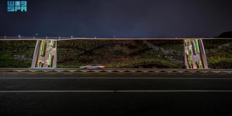 جدارية تحتوي على أكثر من 70 ألف شتلة .. توصل هوية الباحة الزراعية