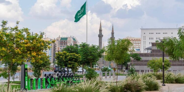 “أمانة حائل” تُنفِّذ أكثر من 91000 عملية تشجير للحدائق والمناطق العامة