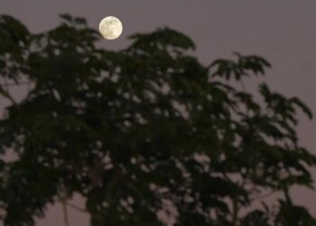 رصد القمر البارد في سماء الحدود الشمالية