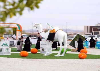 أكثر من ٣٢ ألف زائر وزائرة لمهرجان حمضيات حائل ٢٠٢٤ في نسخته الرابعة