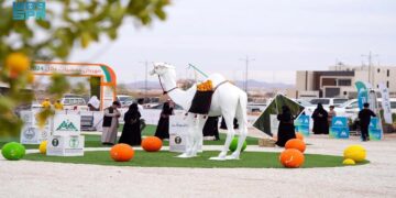 أكثر من ٣٢ ألف زائر وزائرة لمهرجان حمضيات حائل ٢٠٢٤ في نسخته الرابعة