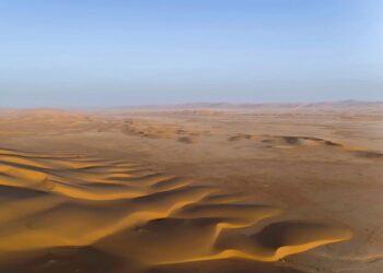 محمية عروق بني معارض: أيقونة البرية في الجزيرة العربية