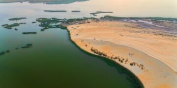 كحل الصيف وبياض الشتاء” تتلالأ مجددًا بقدوم “البراد” في الأحساء