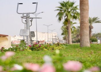 ممشى محافظة صبيا الجديد تجربة فريدة تعزز جودة الحياة