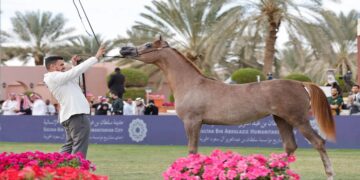 أمير منطقة الرياض يشهد الحفل الختامي للعرض الدولي السابع لجمال الخيل العربية الأصيلة