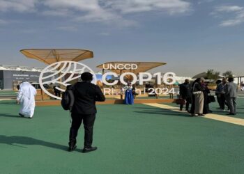 278 مليار دولار سنوياً فجوة التمويل لمكافحة التصحر