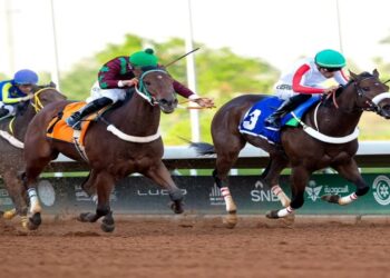 الرياض تحتضن اليوم السباقات الكبرى على كأسي ولي العهد