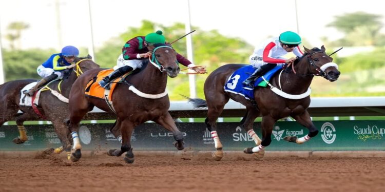 الرياض تحتضن اليوم السباقات الكبرى على كأسي ولي العهد