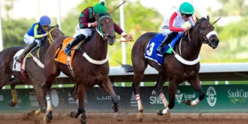 اليوم… انطلاق السباقات الكبرى لكأسي ولي العهد