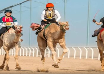 «مهرجان الإبل»: تأهب لانطلاق ماراثون هجن السيدات