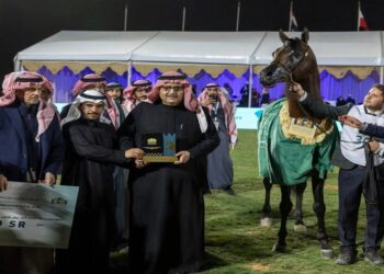 "مربط عذبة يحصد الذهب في العرض السابع لجمال الخيل العربية"